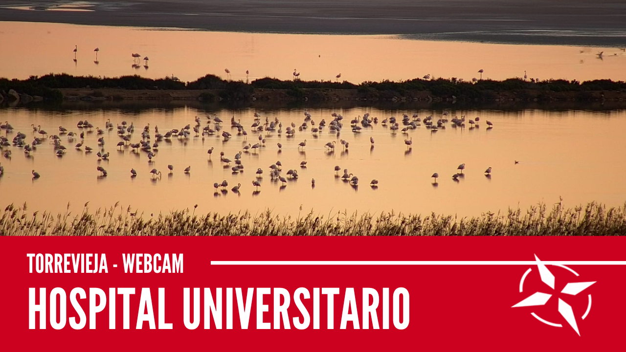 Hospital Universitario de Torrevieja