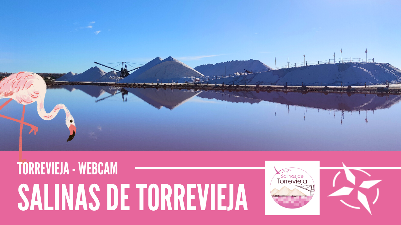 Salinas de Torrevieja